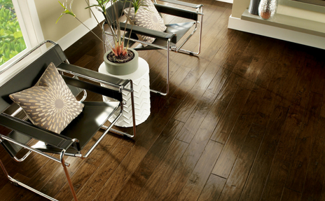 Invincible Hardwood in Dark Color in Living Room